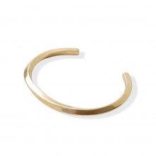 BA-23 Gold